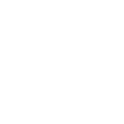 A decorative white snowflake design, symbolizing winter and ice skating.